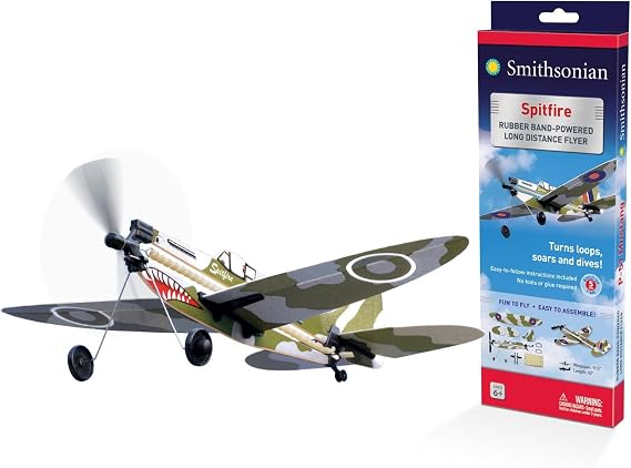 Smithsonian P-51 Mustang Flyer