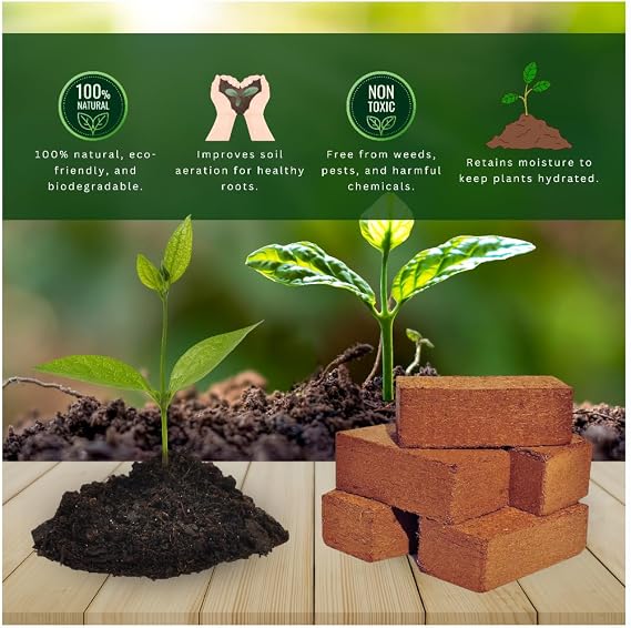 Coco Bliss 650gm Brick (1-Pack) - Organic Coco Coir for Plants -Cocopeat for Garden Soil & Potting Mixes -Coconut Fiber Mixes with Potting Soil for Indoor Plants & Outdoor Plants