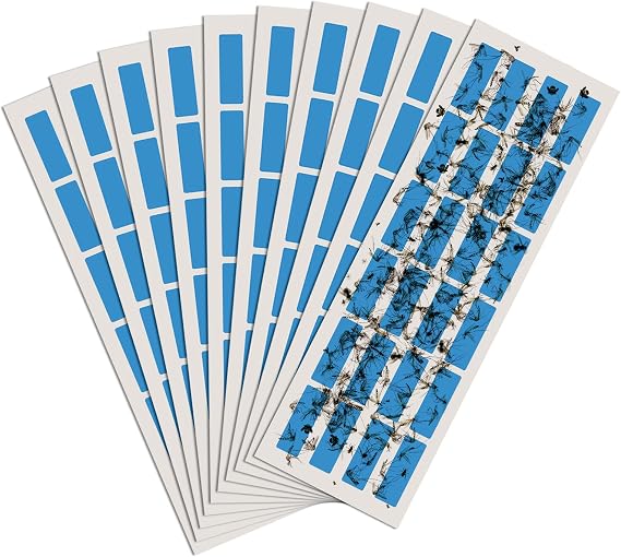 10 PCS Sticky Boards Commercial Fruit Fly Zapper Trap Indoor for Restaurant