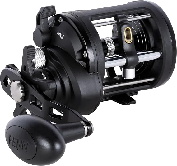 PENN Rival Level Wind Conventional Fishing Reel