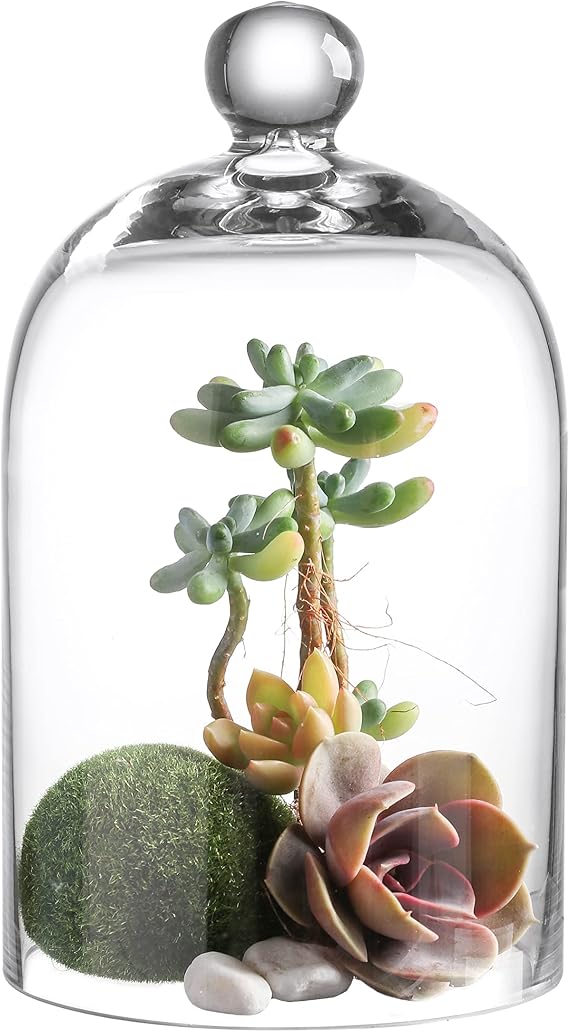 KMwares Clear Glass Display Dome Cloche Bell Jar Tabletop Decorative Case Covered Plants/Food (5.1"x8.9")