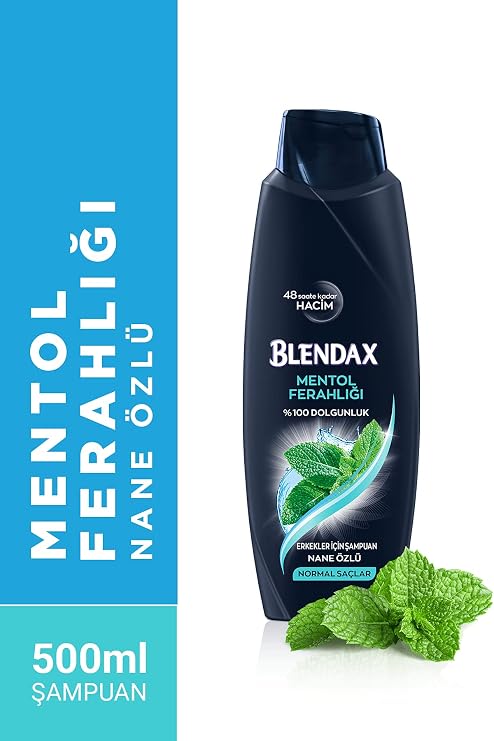 Blendax Menthol Refreshment Mint Extract Shampoo for Men, 500 ml