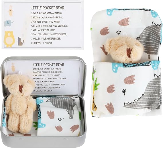 Small Teddy Bear Hug in a Tin Box, Mini Plushie Pocket Hug Token