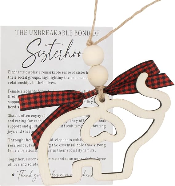 Elephant Gifts for Women, Elephant Hanging Ornament with Story Cards, Sisterhood Gifts for Women Tribe Best Sister and Friend Decor