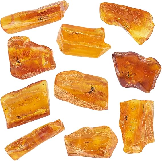 Baltic Amber Natural Fossil Insects, Insects from Millions of Years ago, True Insect Samples-Science Classroom Science Education Animal Specimens