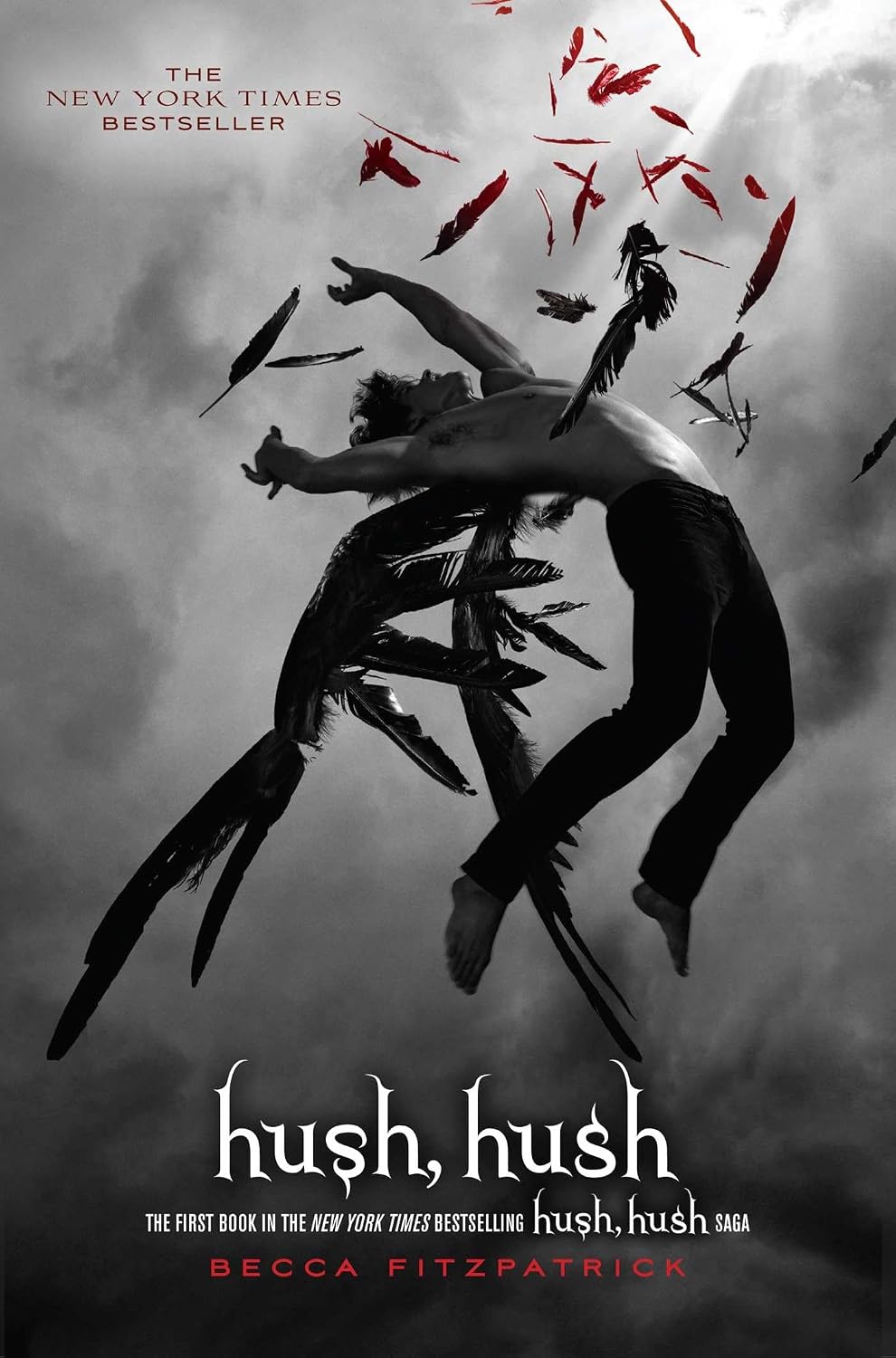 Hush, Hush The Hush, Hush Saga Hardcover – October 13, 2009