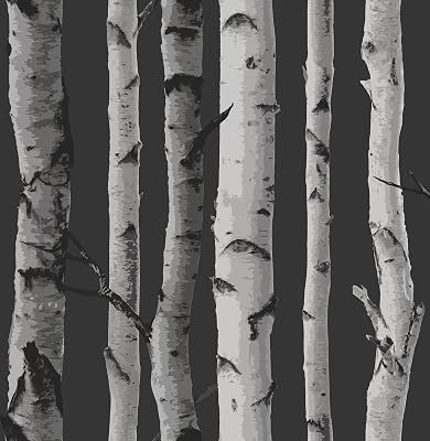Fine Decor 2900-31052 Distinctive Birch Tree Wallpaper, Black