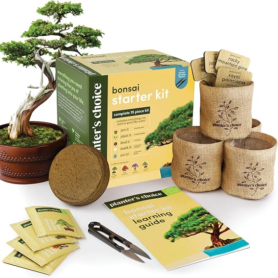 Bonsai Tree Kit for Beginners & Plant Lovers - Grow Your Own Bonsai