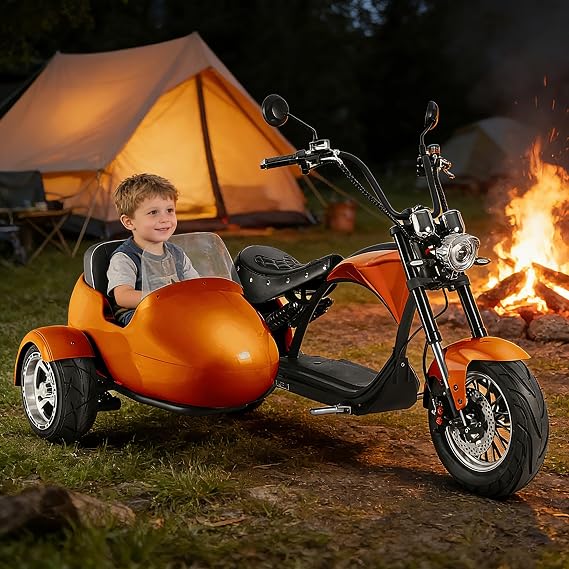 eAhora 2000W 37MPH M1P Sidecar Electric Motorcycle for Adults 60v 30ah 40+ Miles Long Range Electric Sidecar Full Suspension 2 Persons Scooter 3 Wheels Mopeds for Pets/Cargo