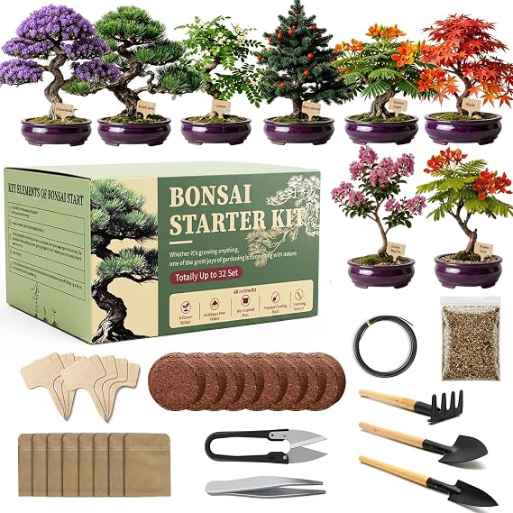 Bonsai Tree Starter Kit 8 Varieties Indoor Bonsai Trees Plant Seeds with Drainage Design Pots, Gardening Gifts for Women, High-Value Plant Gifts