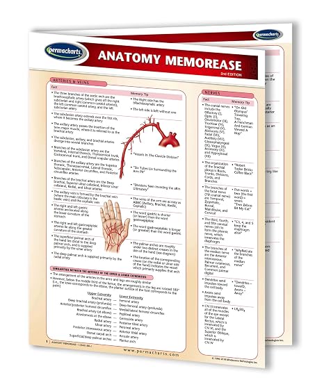 Anatomy MemorEase Guide - Medical Nursing Quick Reference Guide by Permacharts