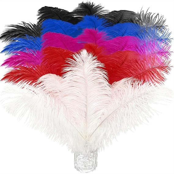 Piokio 20 pcs Color Ostrich Feathers 10-12 inch(25-30 cm) Bulk for Party Centerpieces and DIY Clothes Decoration, Gatsby Decorations