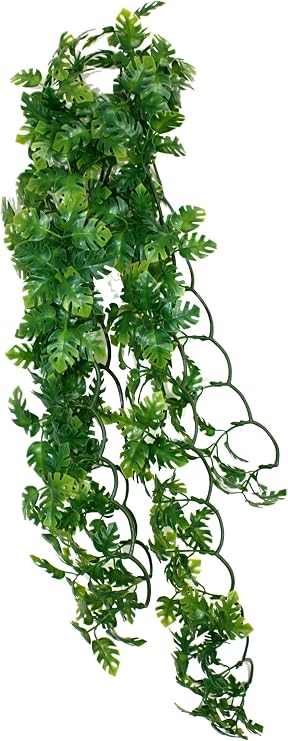 Komodo Split Philodendron Plant, 40 cm, Green