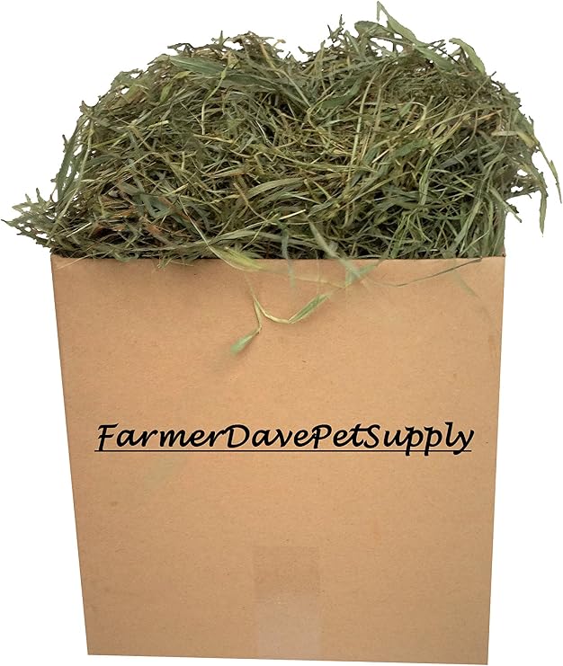 3 Lb Second Cut Timothy Hay, Bunny, Guinea Pig and Chinchilla Hay