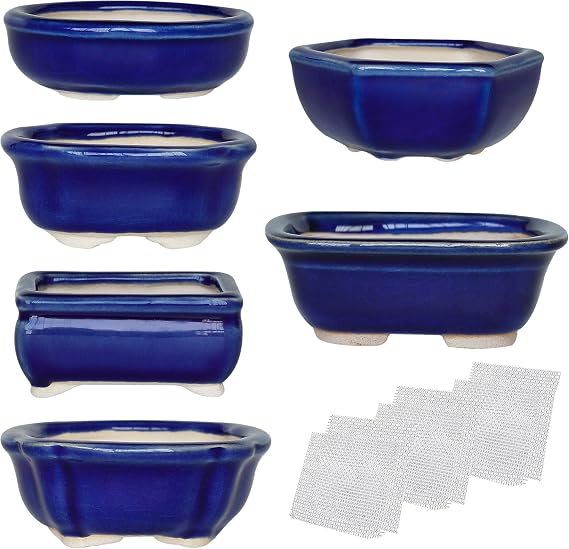 Bonsai Planter 6 pc Mini Glazed Succulent Pots Value Set + 6 Soft Mesh Drainage Screens