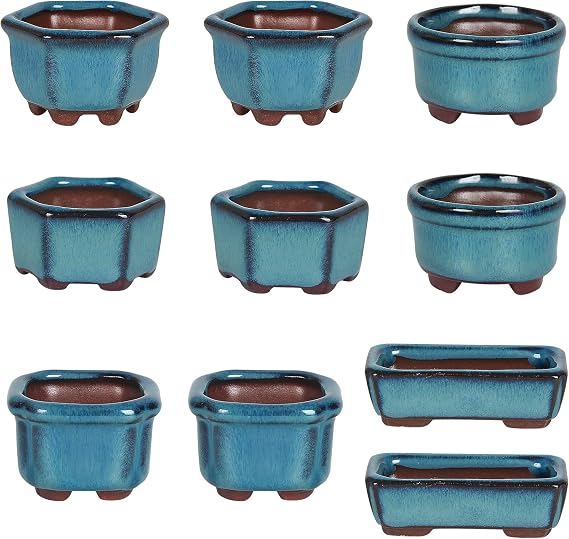 Bonsai Planter Succulent 1.8"(4.5cm) 10 Mini Glazed Pots