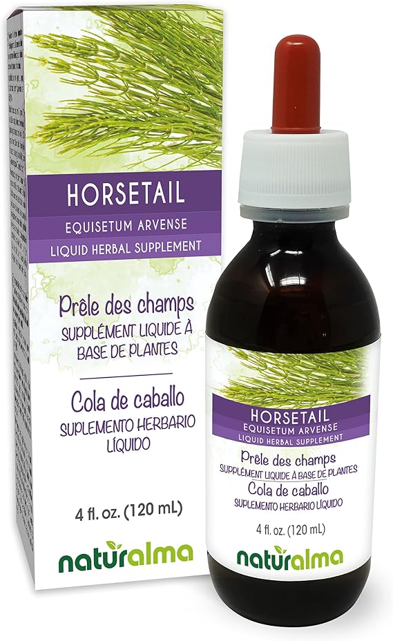 Naturalma Horsetail (Equisetum arvense) herb Alcohol-Free Tincture - 4 fl oz Liquid Extract in Drops - Herbal Supplement - Vegan