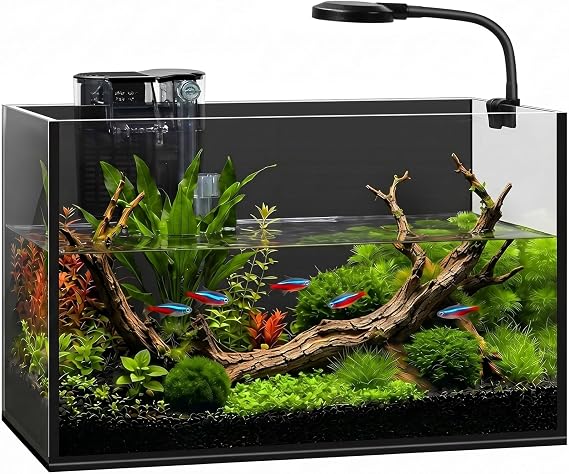 2 Gallon Small Fish Tank with Light and Filter Desktop Aquarium Starter Kit