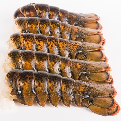 Today Gourmet Foods of NC Maine Lobster Tails 7-8oz. 8 Tails
