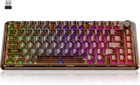 Taiahiro Clear Wireless Mechanical Keyboard with Knob (Brown, 4000mAh)