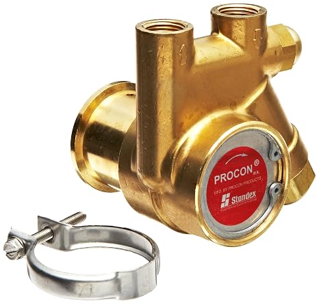 Procon 111A035F11CA Brass Rotary Vane Pump, 3/8" NPTF, 48 GPH