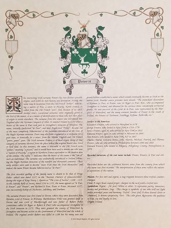 Mr Sweets Zelmer Coat of Arms, Crest & History 8.5x11 Print - Name Meaning, Genealogy, Family Tree Aid, Ancestry, Ancestors, Namesakes - Surname Origin: German Germany