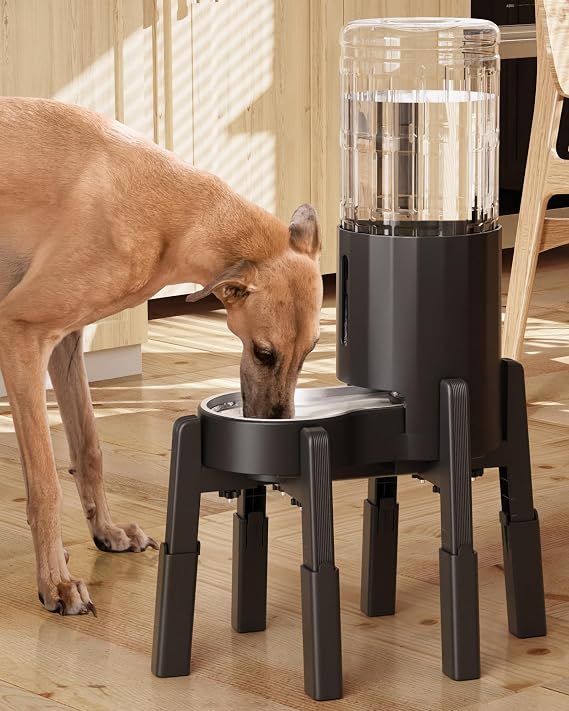 7L Elevated Dog Water Bowl Dispenser