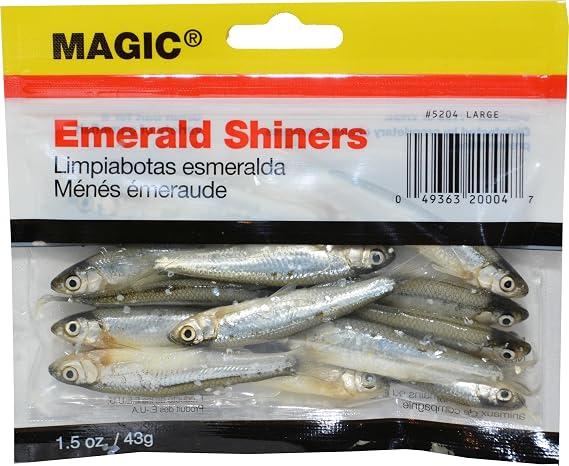 Magic Products Preserved Emerald Shiners Large 5204 (3"-4"; 10 ct.)