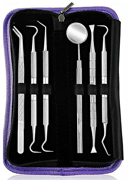 Dental Oral Care Plaque Remover Personal Care Tools Dental Floss Teeth Whitening Calculus Removal Cleaning Kit/Set