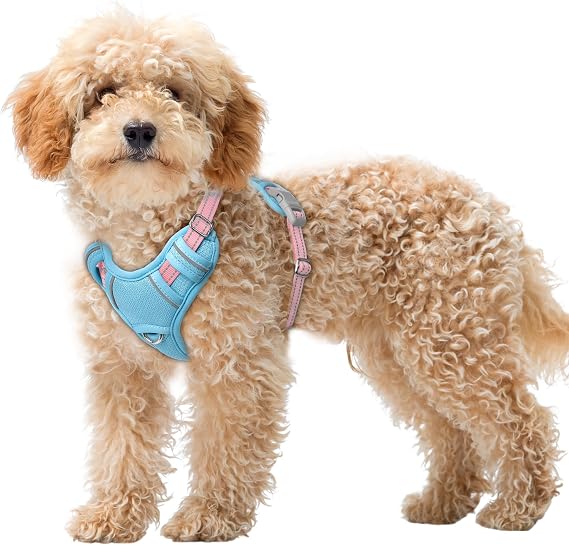 BARKBAY Dog Harness for Small Sized Dog No Pull Dog Vest ID Tag Pocket