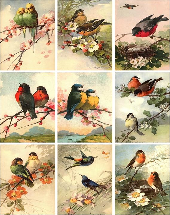 Catherine Klein Vintage Victorian Birds Collage Sheet 8.5 x 11" Bird Art for Scrapbooking, Card Making