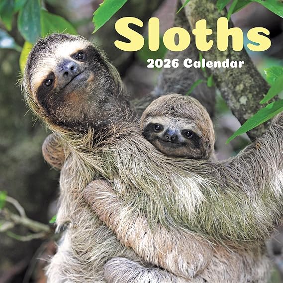 TF Publishing 2026 Sloths Wall Calendar - Large Grids for Appointments and Scheduling - Vertical Monthly Wall Calendar 2026 with Premium Gloss Paper for Home and Office Organization - 12in x 12in