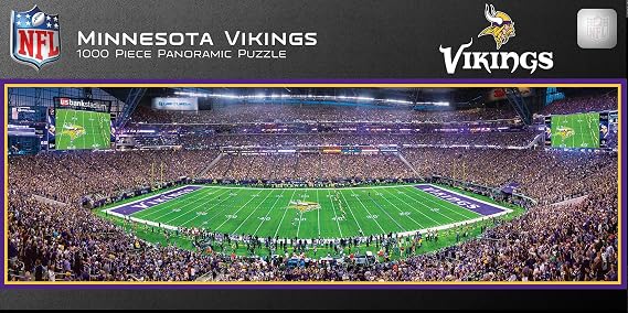 Masterpieces NFL Unisex Stadium Panoramic Jigsaw Puzzle, 1000-Piece