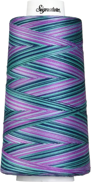 Signature Cotton Quilting Thread, 3000 yd, Variegated Garden 49S-F153