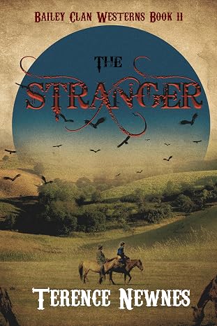 The Stranger (Bailey Clan Westerns Book 11)