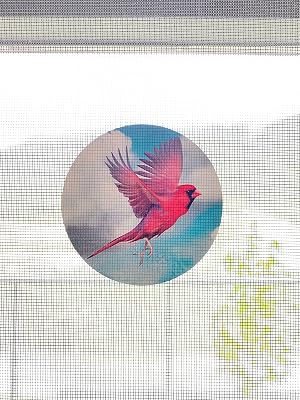 Retractable Screen Door Decals Stickers - 6 per Package - Keep Children Safe - Alert Birds, Dogs, Kids - Warn, Protect, Window Safety - Birds